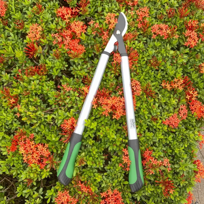 Expert Gardener 24 dyuymli po'lat Bypass Lopper, yashil va qora rangda 1 dyuymli kesish qobiliyati. - 6