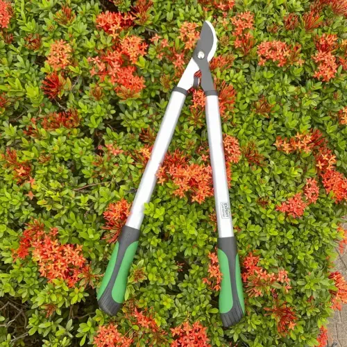 Expert Gardener 24 dyuymli po'lat Bypass Lopper, yashil va qora rangda 1 dyuymli kesish qobiliyati. - 6