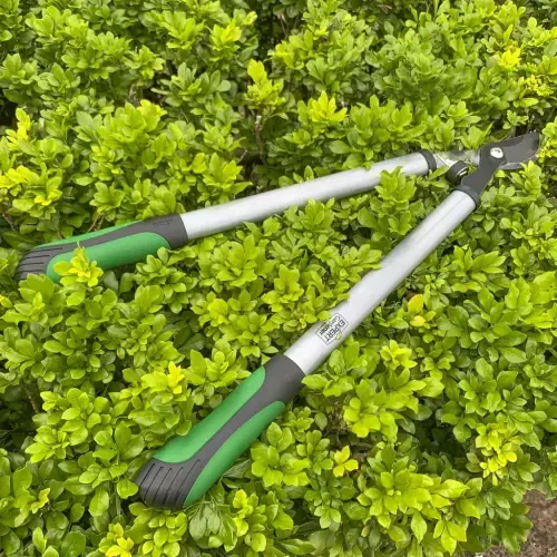 Expert Gardener 24 dyuymli po'lat Bypass Lopper, yashil va qora rangda 1 dyuymli kesish qobiliyati. - 7