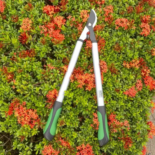Expert Gardener 24 inches Steel Bypass Lopper, 1