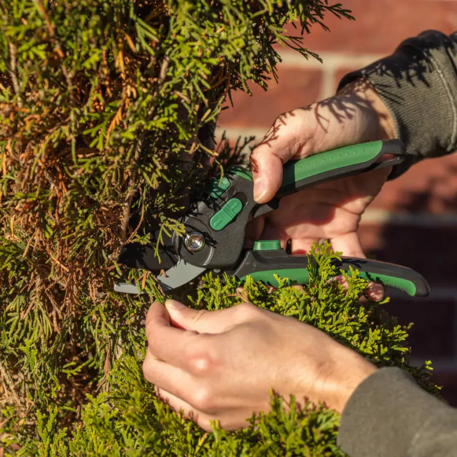 Expert Gardener 3/4-inch Cutting Bypass Pruner - 2