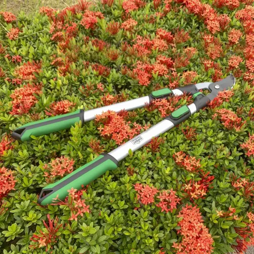 Expert Gardener 38 dyuymli uzaytiriladigan kesgich - 7