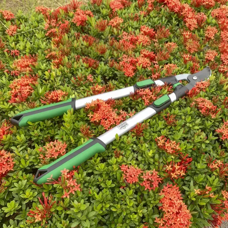 Expert Gardener 38 dyuymli uzaytiriladigan kesgich - 7