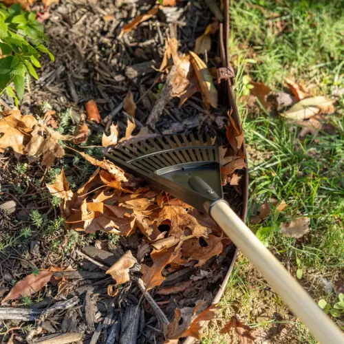 Expert Gardener 8-inch Wood and Poly Shrub Leaf Rake - 6