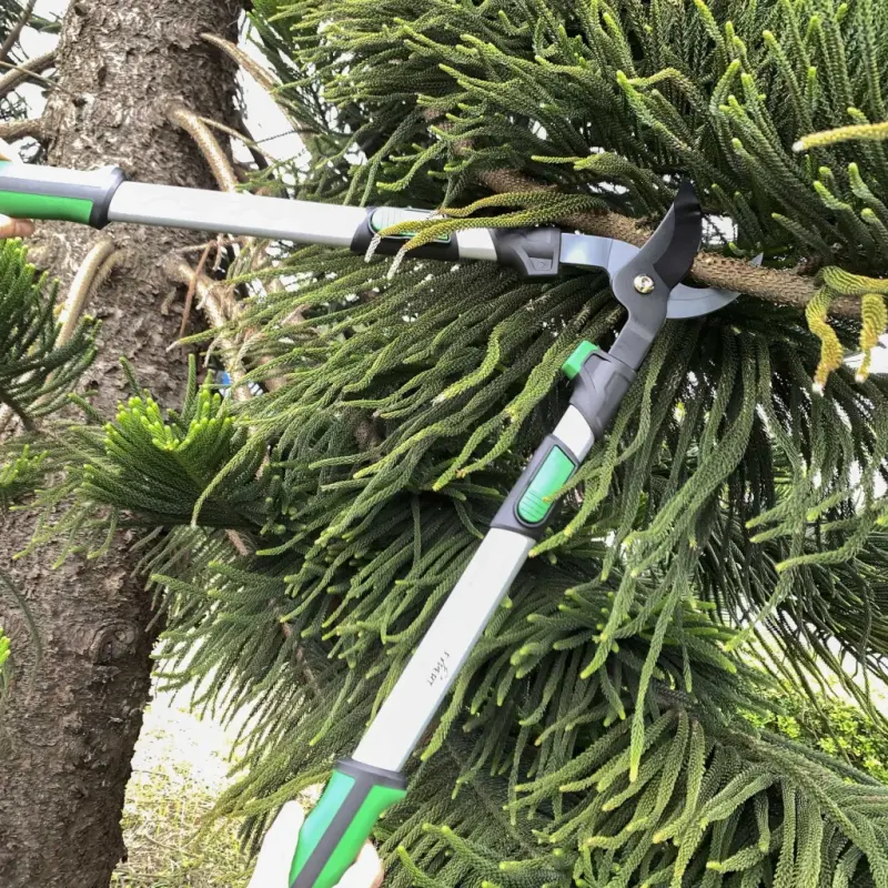 Expert Gardener Extendable 38in Lopper - 4