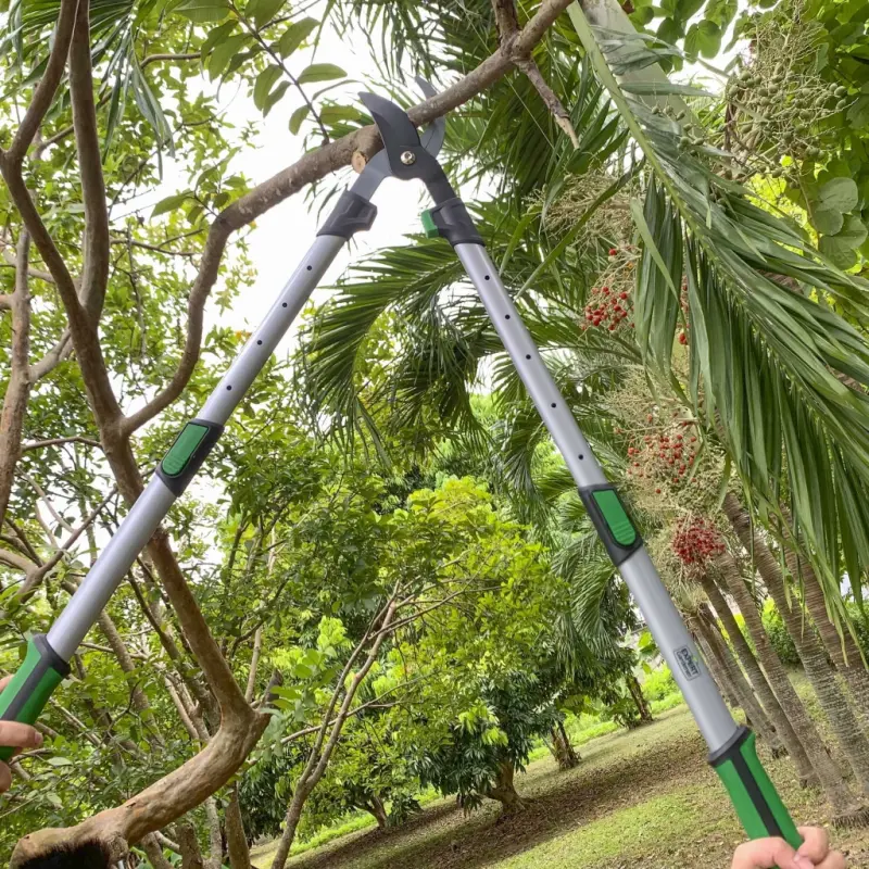 Expert Gardener Extendable 38in Lopper - 6