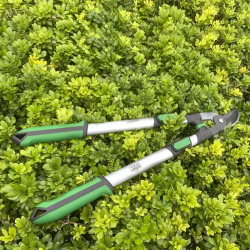 Expert Gardener Extendable 38in Lopper - 8