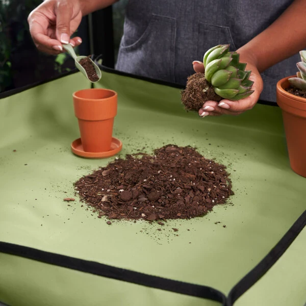 Expert Gardener Indoor Gardening Stainless Steel Tool Set, 14 Pieces, Green - 6