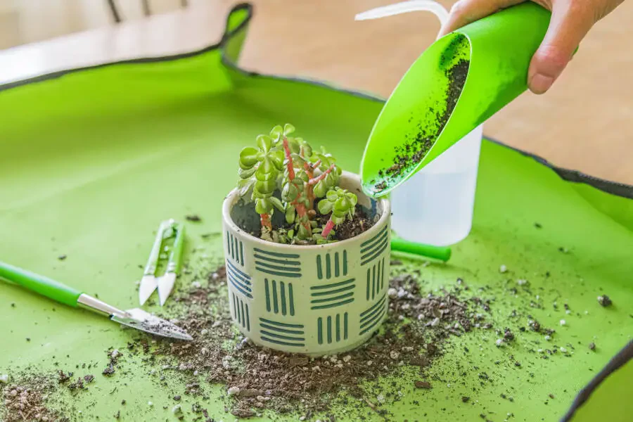 Expert Gardener Indoor Gardening Stainless Steel Tool Set, 14 Pieces, Green - 10