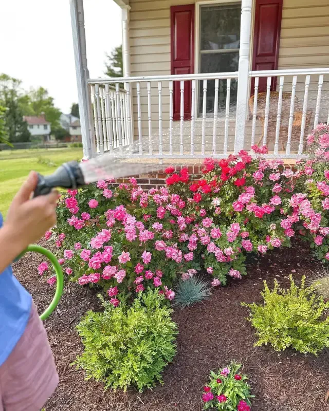 Expert Gardener Light Duty 5/8