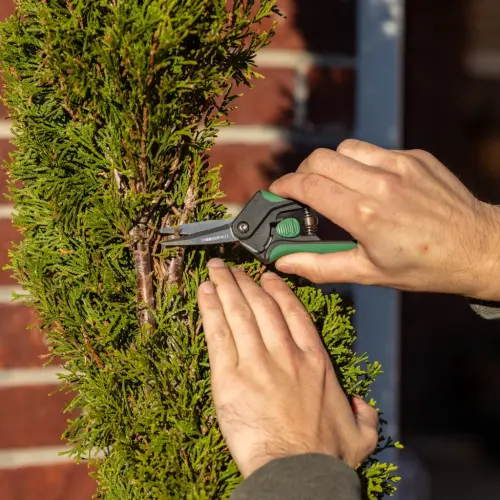 Expert Gardener Snipping Shears - 3