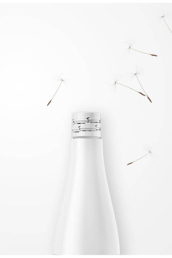 Facespa Pro 911 Şarjlı Yüz Epilatörü 3’ü 1 Arada Epilasyon Ve Cilt Bakım Seti - 5