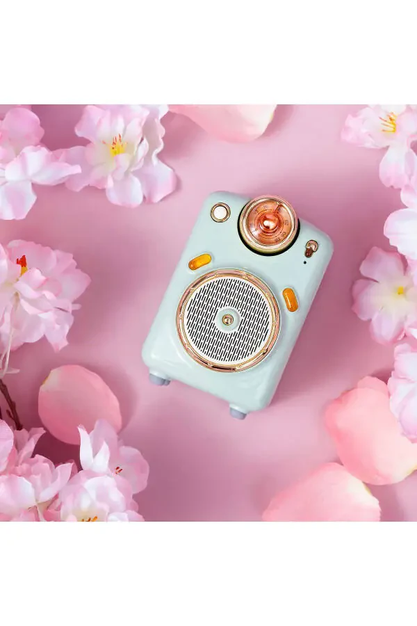 Fairy-ok Green Karaoke Microphone with FM Radio and Bluetooth Speaker - 7