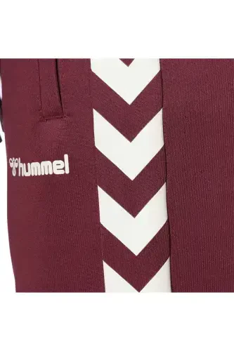 FALCONZO СПОРТИВНЫЕ ШТАНЫ-Бордовый - 4