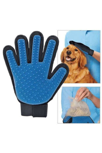 Feather Collecting Glove - 11