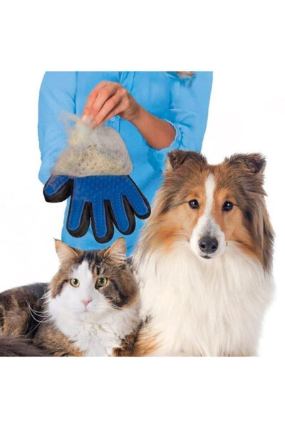 Feather Collecting Glove - 12