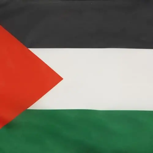 Palestine NAUTICAL Flag 18'' x 12'' - Palestinian flags 30 x 45 cm. - Banner 12x18 in for boat - AZ FLAG - 3
