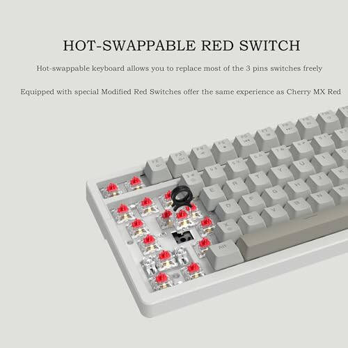 FIRSTBLOOD ONLY GAME. AK992 Retro Wired Mechanical Keyboard, 98 Keys Full Layout, Hot-Swappable USB Gaming Keyboard with Red Switches, Multimedia Keys Knob, Blue Backlit, Anti-Ghosting, Grey - 3