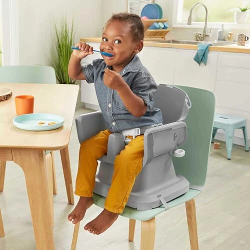 Fisher-Price Baby to Toddler High Chair SpaceSaver Simple Clean Portable Dining Seat & Booster with Washable Deep Tray & Liner, Pacific Pebble - FISHER-PRICE (1)