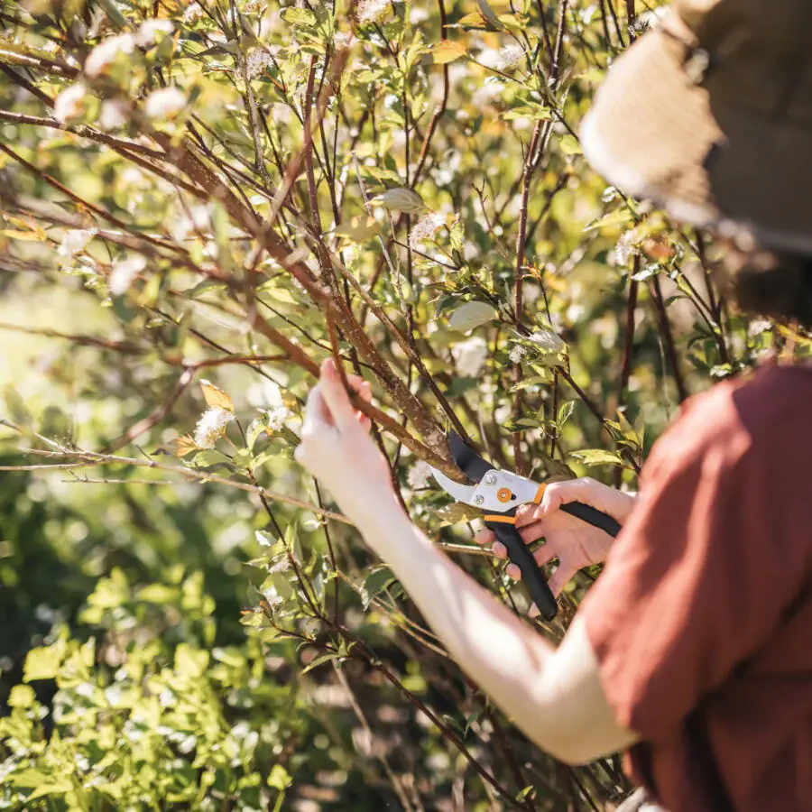 Fiskars Traditional Bypass Pruner, Po'lat pichoq va sirpanmaydigan tutqich, 5/8