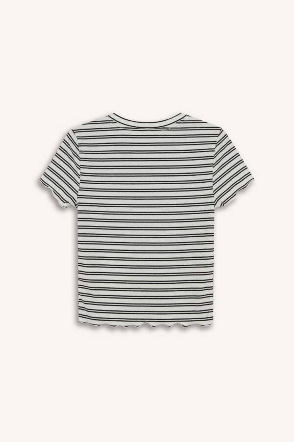 Fitted Crew Neck Striped Ribbed Crop Top White - 8
