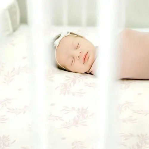 Fitted Crib Sheets Set 2 Pack, Ultra Soft Stretch Jersey Knit Crib Sheet Fit All Standard Crib Mattress Pads Safe and Snug, Crib Fitted Sheet for Baby, Beautiful Flowers and Insects Pattern - 5