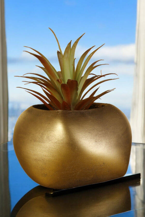 Flower Pot Decorative Cactus Pot 1 Piece Gold Color Antique Applied Spiral Oval Model - 1