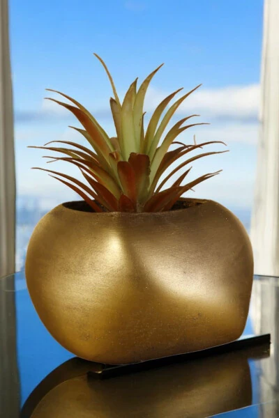 Flower Pot Decorative Cactus Pot 1 Piece Gold Color Antique Applied Spiral Oval Model - STEIN KOHLE