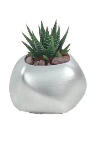 Flower Pot Decorative Cactus Pot 1 Piece Silver Color Applied Model 14-SILVER - 1