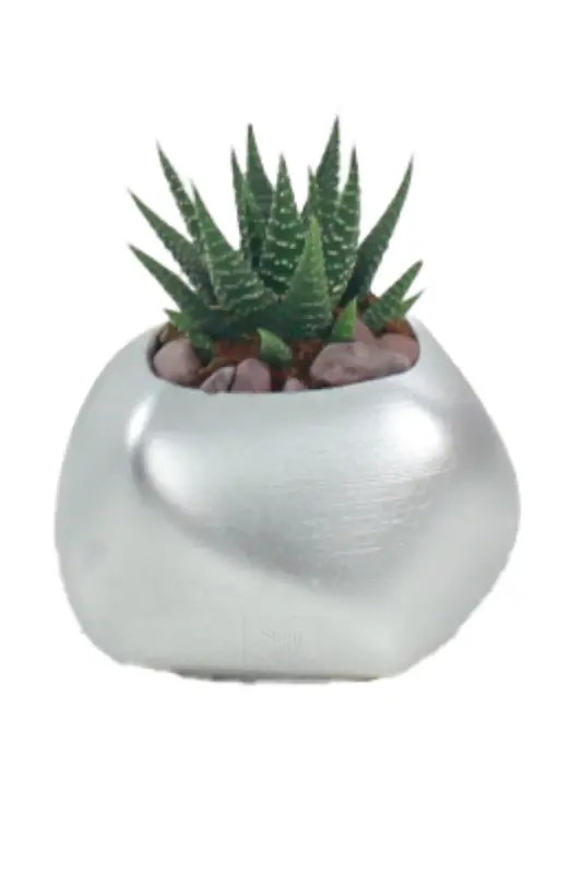 Flower Pot Decorative Cactus Pot 1 Piece Silver Color Applied Model 14-SILVER - 1