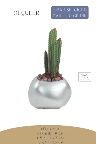 Flower Pot Decorative Cactus Pot 1 Piece Silver Color Applied Model 14-SILVER - 2
