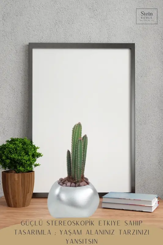 Flower Pot Decorative Cactus Pot 1 Piece Silver Color Applied Model 14-SILVER - 4