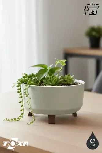 Foot-Mounted Filtered Cactus Succulent Violet Pot 0.7 Liter Cream 15cm Plastic Arrangement Pot No1 - 1