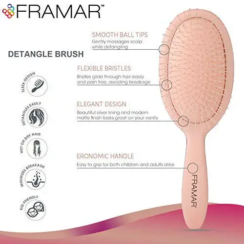 Framar Detangling Brush for Curly Hair – Hair Brushes for Women, Wet Detangler Hair Brush, Wet Hairbrush For Women, Hairbrushes, Hair Brush Detangler – Reduces Hair Breakage Champagne - 2