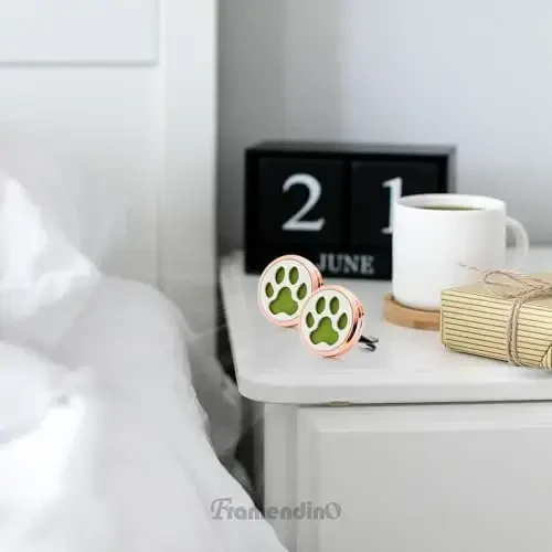 Framendino, 1 Pack It Oyoq Izli Efir Moyli Avtomobil Diffuzori, 10 O'tkazgichli To'ldiruvchi Aromaterapiya HAVO Tozalagich Vent Klip Qulflari Erkaklar Ayollar Sovg'alari uchun - 5