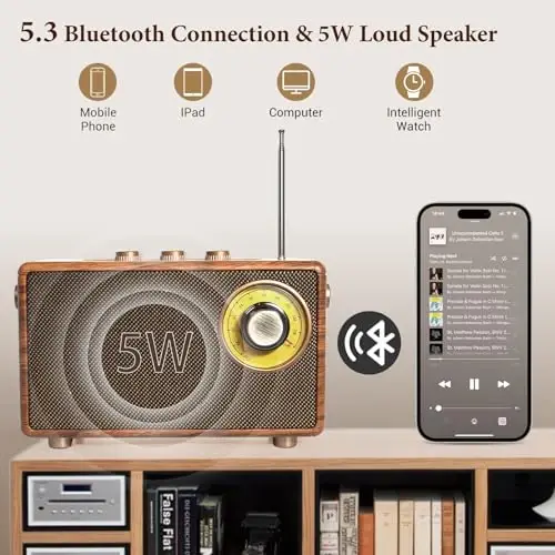 FREEFISH Portable Retro Speaker Bluetooth Radio Vintage Decor with FM Radio Rich Bass Bluetooth Speakers 5.3 Wireless Connection,TF Card, AUX for Home Office Bedroom - 3