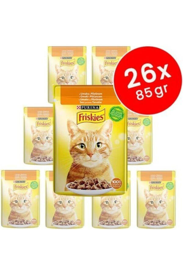 Friskies Adult Cat Food with Chicken 26x85 Gr - 2