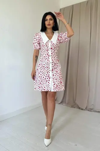 Fuchsia Apron Collar Poplin Dress - 1