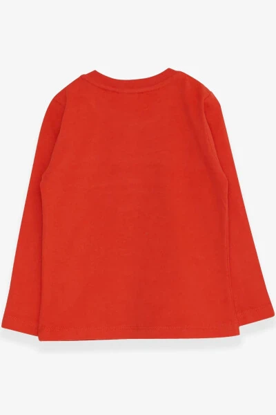 Футболка с длинным рукавом для мальчика, вышивка динозавра, 9 месяцев. - Modazone (1)