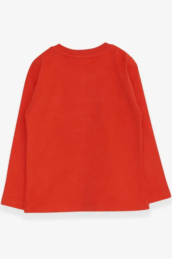 Футболка с длинным рукавом для мальчика, вышивка динозавра, 9 месяцев. - 2