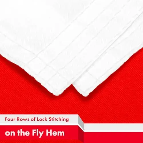 G128 Georgia Georgian Flag | 3x5 Ft | LiteWeave Pro Series Printed 150D Polyester | Country Flag, Indoor/Outdoor, Vibrant Colors, Brass Grommets - 5