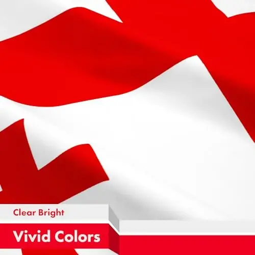 G128 Georgia Georgian Flag | 3x5 Ft | LiteWeave Pro Series Printed 150D Polyester | Country Flag, Indoor/Outdoor, Vibrant Colors, Brass Grommets - 3