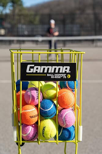 GAMMA Basınçsız Tenis Topu Çantaları, 10, 12, 18 ve 20'li Paket Boyutları, Tenis Dersleri ve Pratik, Daha Uzun Dayanıklılık ve Daha Fazla Sekme, Renkli Tenis Topları, Evcil Hayvan Oyuncakları, Köpek Topu, Tenis Eğitimi, Koçluk - 4