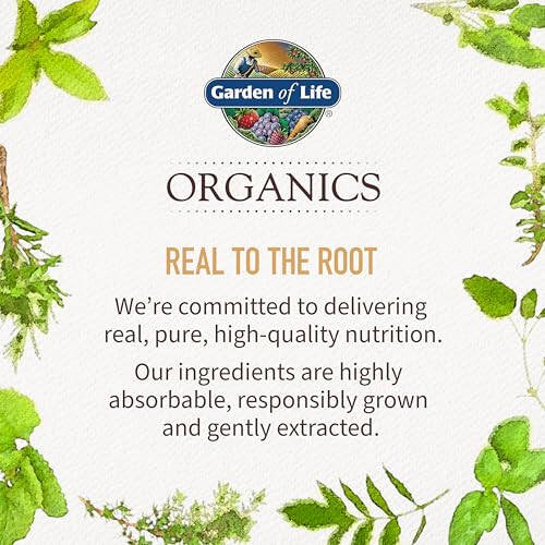 Garden of Life Organics Мужские жевательные витамины - Ягодные - Сертифицированные органические, без ГМО, веганские, кошерные комплексные мульти - метил B12, C & D3 - без глютена, сои и молочных продуктов, 120 жевательных конфет с настоящими фруктами - 1