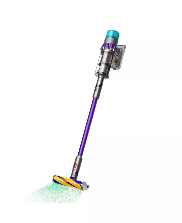 Gen5detect Cordless Vacuum Iron/purple - 12