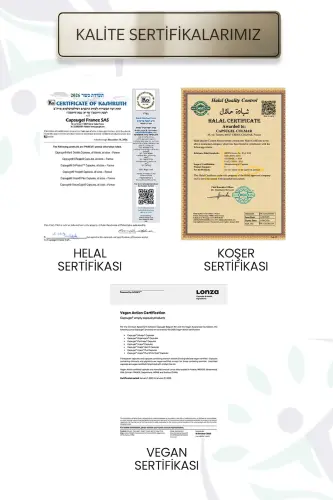 Ginkgo Biloba and Vitamin B12 60 Softgels - 2