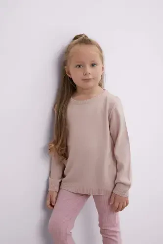 Girl Baby Regular Fit Crew Neck Sweater-Pink - 3
