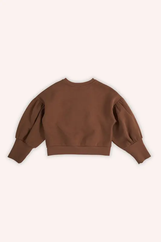 Girl Child Embroidered Camel Sweatshirt - 4
