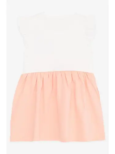 Girl's Dress with Pockets, Glittery Kitten Print, Ecru (1.5-4 Years Old)-Ecru - 5