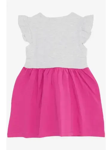 Girl's Dress with Pockets, Glittery Kitten Print, Light Gray Melange (1.5-3 Years)-Gray - LC WAIKIKI (1)